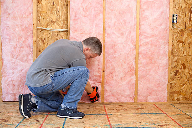 Best Energy Efficiency Insulation in Phoenix Lake, CA