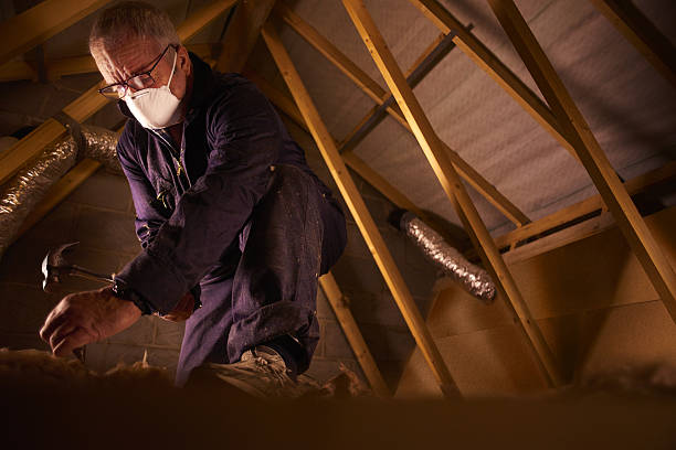 Best Cellulose Insulation in Phoenix Lake, CA